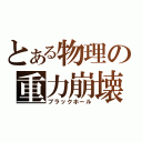 とある物理の重力崩壊（ブラックホール）