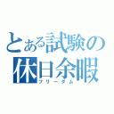 とある試験の休日余暇（フリーダム）