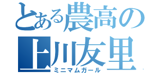 とある農高の上川友里愛（ミニマムガール）