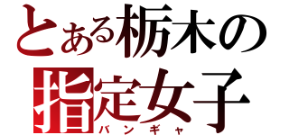 とある栃木の指定女子（バンギャ）