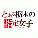 とある栃木の指定女子（バンギャ）