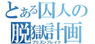 とある囚人の脱獄計画（プリズンブレイク）