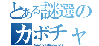 とある謎選のカボチャ（なおこいつは由舞のものである）