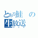 とある鮭の生放送（ラジオ）