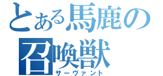 とある馬鹿の召喚獣（サーヴァント）