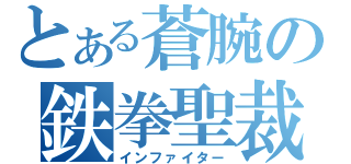 とある蒼腕の鉄拳聖裁（インファイター）