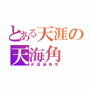 とある天涯の天海角（天涯海角字）