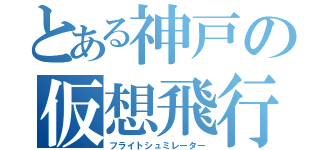 とある神戸の仮想飛行（フライトシュミレーター）