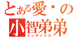 とある愛你の小智弟弟（インデックス）