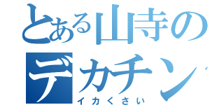 とある山寺のデカチンコ（イカくさい）