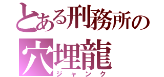 とある刑務所の穴埋龍（ジャンク）