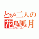 とある二人の花鳥風月（スプラッシュスター）