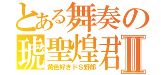 とある舞奏の琥聖煌君Ⅱ（黄色好きドＳ野郎）