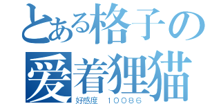 とある格子の爱着狸猫（好感度 １００８６）