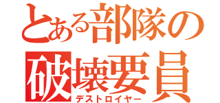 とある部隊の破壊要員（デストロイヤー）