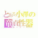 とある小澤の童貞性器（ホーケー）