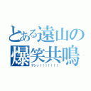 とある遠山の爆笑共鳴（デシッ！！！！！！！）