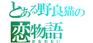 とある野良猫の恋物語（かなわない）