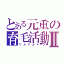 とある元重の育毛活動Ⅱ（ワルアガキ）