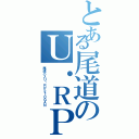 とある尾道のＵ・ＲＰ（尾道バスＵ・ＲＰ２１０ＧＡＮ）