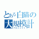 とある白猫の大規模計画（プロジェクト）