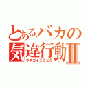 とあるバカの気違行動Ⅱ（キチガイこうどう）