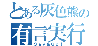 とある灰色熊の有言実行（Ｓａｙ＆Ｇｏ！）