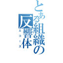 とある組織の反響体（エコーズ）