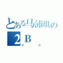 とある马沛琪の２Ｂ（笨蛋）