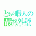 とある暇人の最終外壁（しゅくだい）