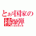 とある国家の核爆弾（大量破壊兵器）