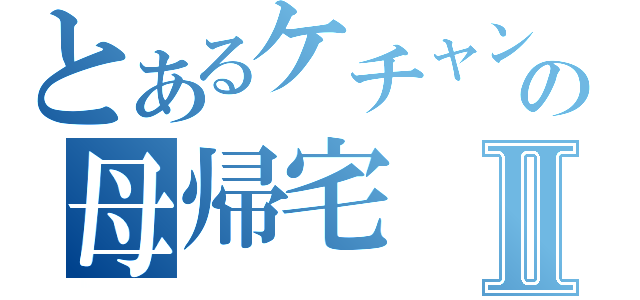 とあるケチャンの母帰宅Ⅱ（）