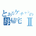 とあるケチャンの母帰宅Ⅱ（）