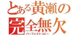 とある黄瀬の完全無欠の模倣（パーフェクトコピー）