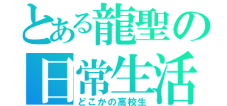 とある龍聖の日常生活（どこかの高校生）