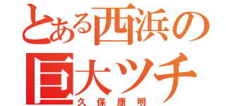 とある西浜の巨大ツチノコ（久保康明）