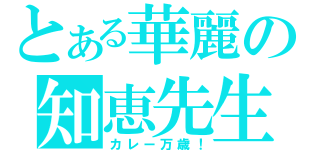 とある華麗の知恵先生（カレー万歳！）