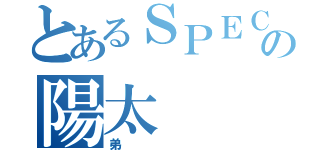 とあるＳＰＥＣの陽太（弟）