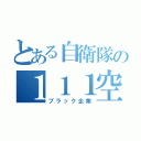 とある自衛隊の１１１空（ブラック企業）