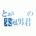 とある楊暘の朱冠男君（ズカンナンくん）