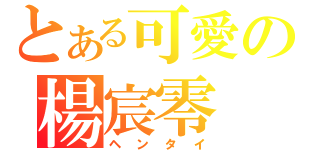 とある可愛の楊宸零（ヘンタイ）