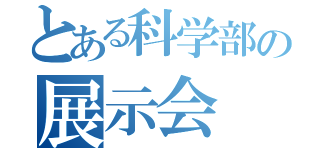 とある科学部の展示会（）