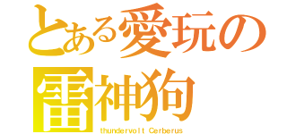 とある愛玩の雷神狗（ｔｈｕｎｄｅｒｖｏｌｔ Ｃｅｒｂｅｒｕｓ）