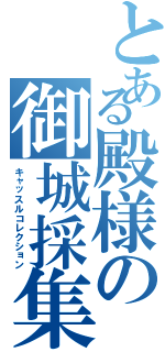 とある殿様の御城採集（キャッスルコレクション）