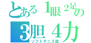 とある１眼２足の３胆４力（ソフトテニス部）