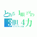 とある１眼２足の３胆４力（ソフトテニス部）