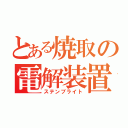 とある焼取の電解装置（ステンブライト）