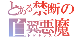 とある禁断の白翼悪魔（トゲキッス）