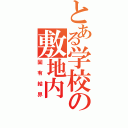 とある学校の敷地内（固有結界）