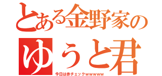 とある金野家のゆうと君（今日は赤チェックｗｗｗｗｗ）